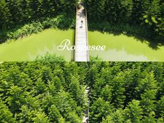 -迪茵湖田家舍生态农场