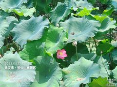 -张公山寨景区