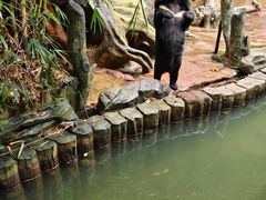 -长鹿旅游休博园