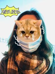 -竹马造型工作室