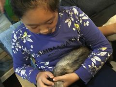 -李小姐の猫咖啡馆(五角场店)