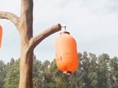 -观澜山水田园