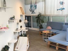-有猫主题·治愈系猫咖(曾厝垵店)