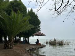 -捞渔河湿地公园
