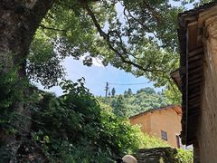 -杨家堂村