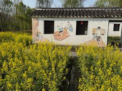 -溱湖国家湿地公园