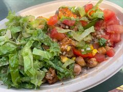 -油梨树AVOCADO TREE(顺义新国展店)