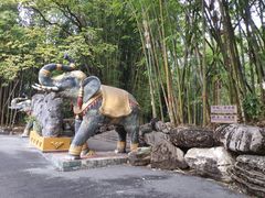 -云南勐巴娜西珍奇园