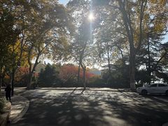 -杭州香格里拉·香宫中餐厅