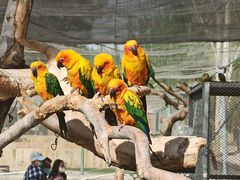 -新疆天山野生动物园