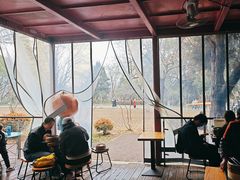 -鸡鸣汤包(红山动物园店)