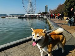 -蠡湖大桥公园
