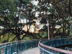 -徐家汇源景区-衡山公园