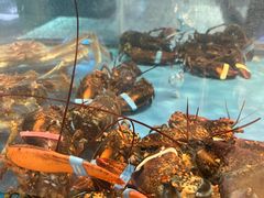 -都市阳光海鲜城(青山湖店)