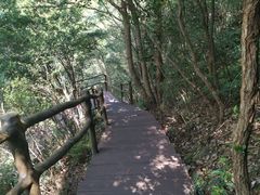 -宁波五龙潭景区