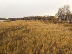 -塞罕坝国家级自然保护区