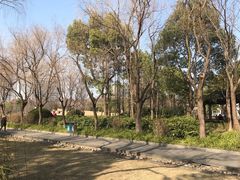 -颐景园