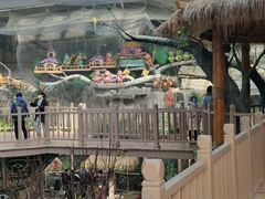 -南宫五洲植物乐园