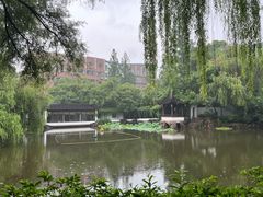 -墅园