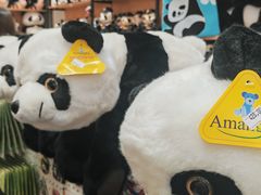 -熊猫屋(宽窄巷子景区店)