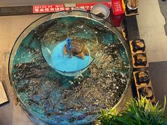 -魏铭鱼头捞饭(晋阳路店)