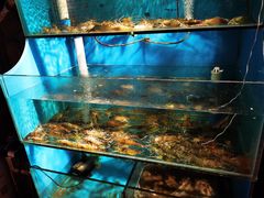 -Thai Basil罗勒叶泰式餐厅(时代天街店)