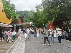 -野象谷景区