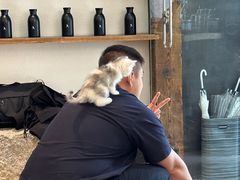 -常识咖啡common sense(春熙路店)