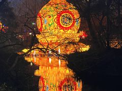 -趵突泉景区