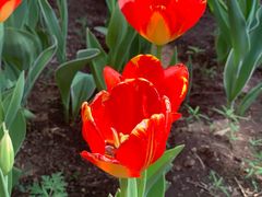 -长春公园(普阳街道)