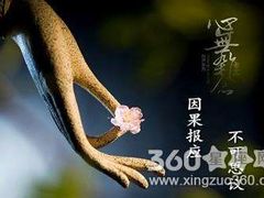 -美联众合动物医院(唯恩分院)
