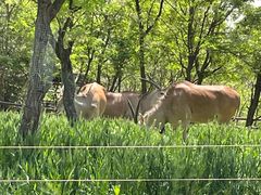 -济南野生动物世界