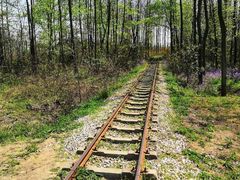 -合肥滨湖国家森林公园