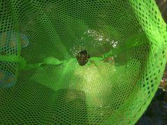 -碓臼峪自然风景区