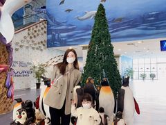 -芜湖新华联大白鲸海洋公园