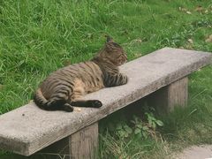 -扬州大学扬子津校区润园餐厅