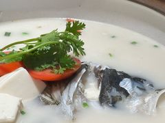 -全乐鱼馆·淳牌有机鱼直营店