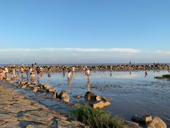 -南汇嘴观海公园