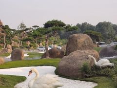 -罗红摄影艺术馆