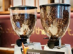 -Punchline Coffee&Roaster(同济大学店)