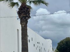 -巴尔多国家博物馆