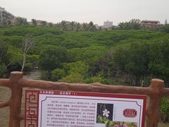 -霞山观海长廊