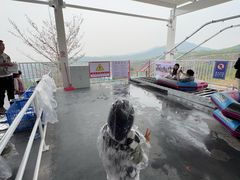 -盈香心动乐园
