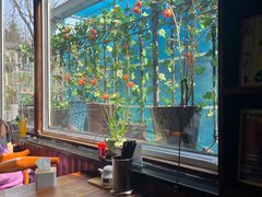 -屯屯面(海尔路店)