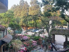 -乡村小榭饭店