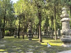 -四门塔风景区