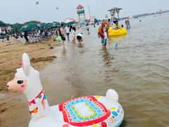 -碧海金沙