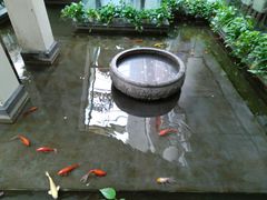 -旺顺阁鱼头泡饼(小红门店)