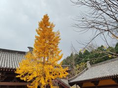 -四门塔风景区