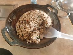 -蘑统田下·野生菌火锅